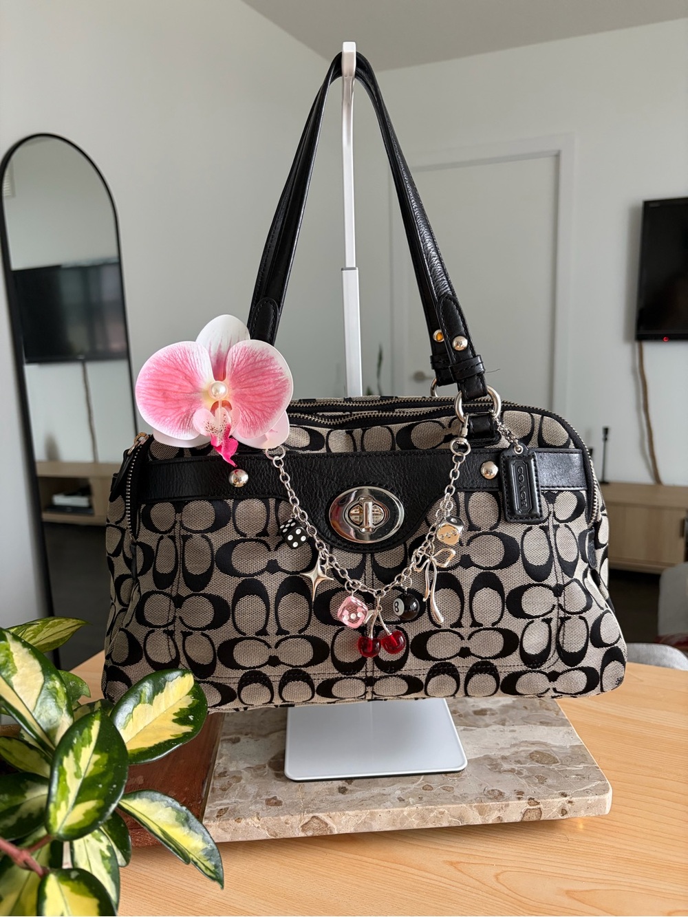 Coach Y2K Penelope Signature C Silver Hardware Turn Lock Bag